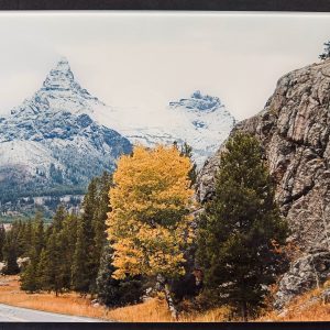 Sam Taylor photo of Index and Pilot