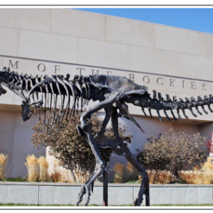 Eight entrance tickets to the Museum of the Rockies in Bozeman
