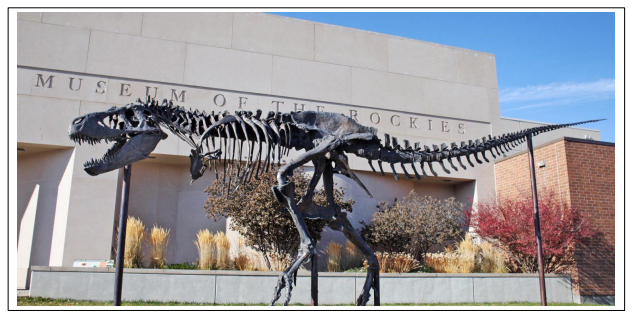 Eight entrance tickets to the Museum of the Rockies in Bozeman